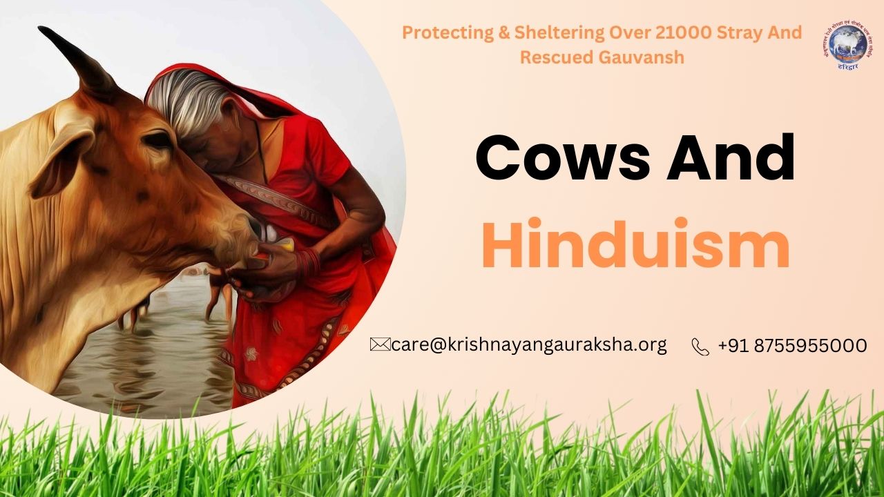 Cows and Hinduism